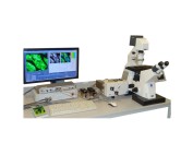 DCS-120荧光寿命成像显微镜缩略图 DCS-120荧光寿命成像显微镜缩略图