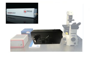 DCS-120 MP多光子荧光寿命成像显微镜插图