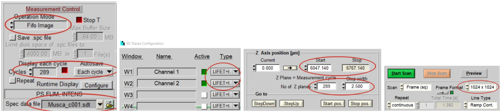 Becker&Hickl DCS-120共聚焦FLIM显微镜系统的高分辨率Z-Stack FLIM成像插图1